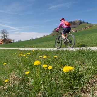 Bisenfeld -  Rund ums Guggershorn