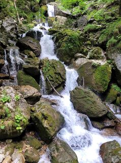 Foto von shac entlang der Tour