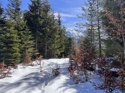 Photo de Kattl le long du parcours