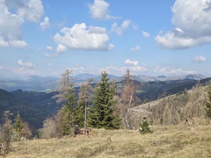Zdjęcie z Birgit Zückert wzdłuż trasy