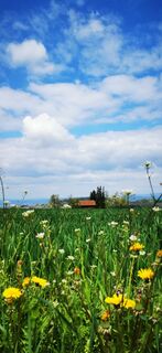Foto von Klaus Lehner entlang der Tour
