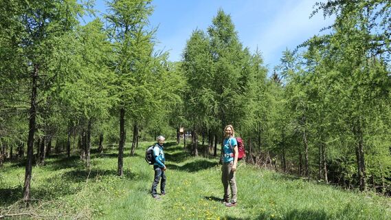 Kurz vor dem Jägerkreuz am Lobmingtaler Rosenkogel
