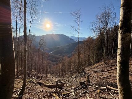 Photo de Natur_erleben_dg le long du parcours