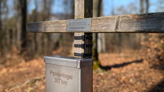 Fotografija s spletne strani Klaus Lehner na poti