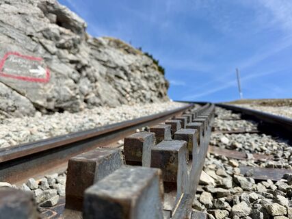 Zdjęcie z Natur_erleben_dg wzdłuż trasy