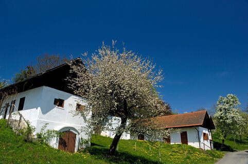 Kellergasse in Heiligenbrunn