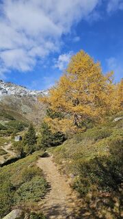 Foto de Grieshofer Gerlinde a lo largo del recorrido