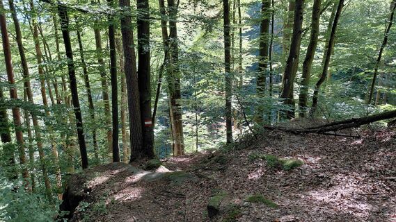 Foto von Wolfgang Arlic 1 entlang der Tour