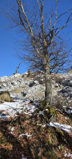 Fotografija s spletne strani Helmut Neuhold na poti