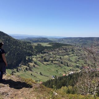 Blick vom 12 Apostelfelsen - Oberschönauer Felsenwanderung - Steinbach-Hallenberg - Thüringer Wald