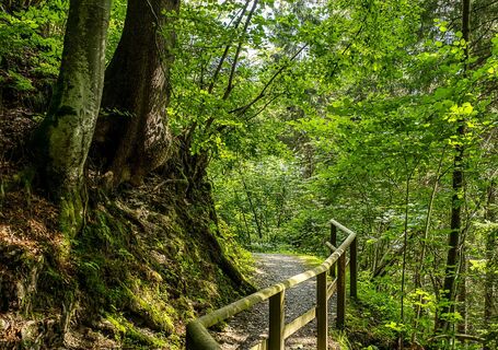 ebenbergalmweg_img_62273847