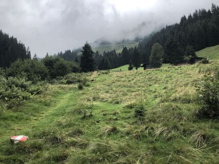 RichtungTalkaser