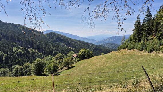 Foto de Manfred Kögler a lo largo del recorrido