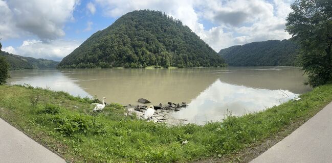 Foto von Viktoria Kölblinger entlang der Tour