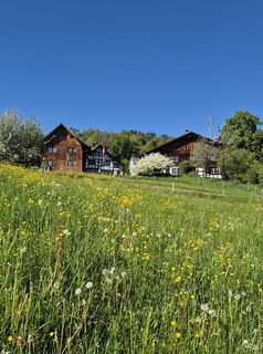 Fotografija s spletne strani alinradu na poti