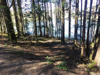 Foto de Sandi Mlakar a lo largo del recorrido