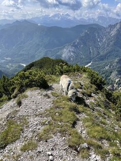 Photo de Franz Stumvoll le long du parcours