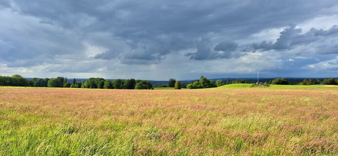 Photo de Thomas Schekira le long du parcours