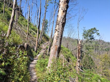 Fotografija s spletne strani nordbergschnecke na poti