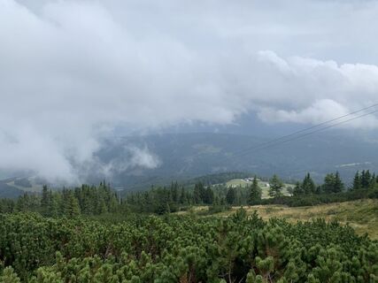 Fotografija s spletne strani Koen De Wit na poti