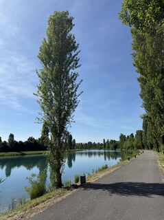 Photo de pinzgauer63 le long du parcours