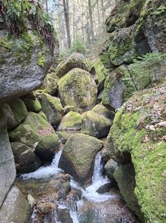 Foto de Josef Klinger a lo largo del recorrido