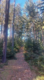 Fotografia z Karin Svozil na trase