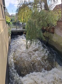 Foto von nordbergschnecke entlang der Tour