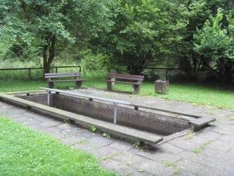Tretbecken Petersborn
