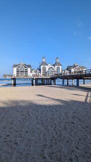 Zdjęcie z hochlandfamilie wzdłuż trasy