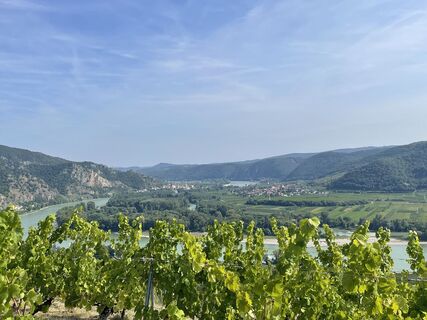 Foto från Michael Leis under resans gång