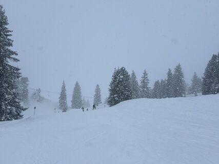Zdjęcie z Stefandendekker wzdłuż trasy