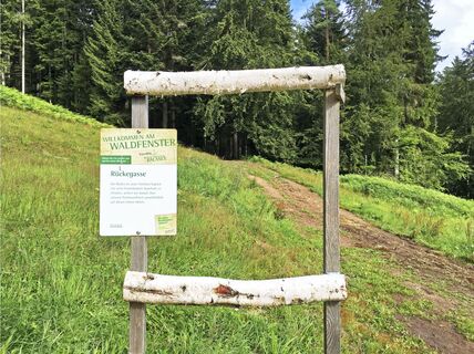Naturfenster - "Rückegasse"