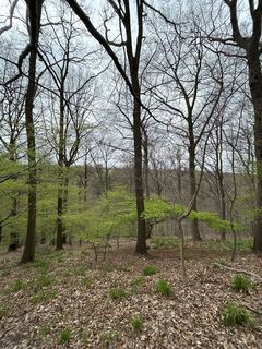 Foto von Robert Christiaans entlang der Tour