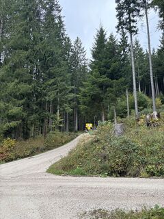 Photo de Heinz Sperl le long du parcours