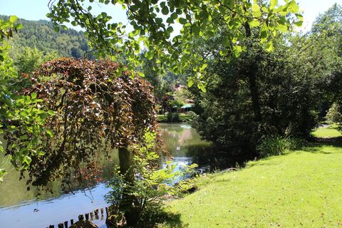 Haslacher Waldsee