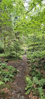 Fotografia z Andreas Henning na trase