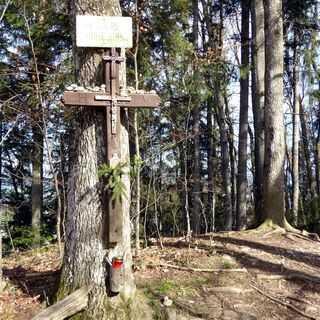 Der eher unscheinbare Heuberggipfel lässt durch den dichten Wald leider keine weiten Aussichten zu.