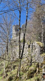 Thalgau, Salzburg/Österreich