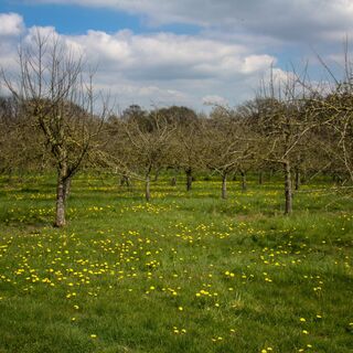 YAO-Drone2Vie-J.ChauchardYAO-462023