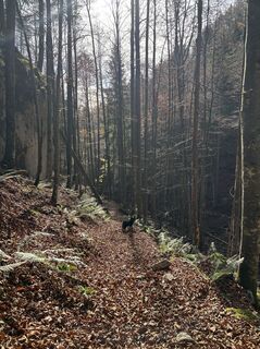 Foto von Chris Tine entlang der Tour