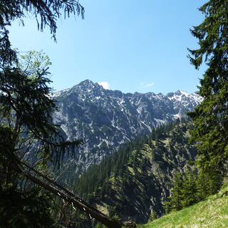 Blick vom Weg auf den Kuchelbergkopf