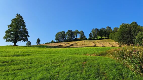 Auenweg