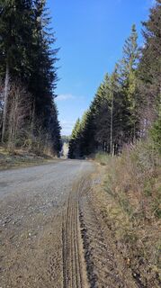 Photo de Gabriele Wagener le long du parcours