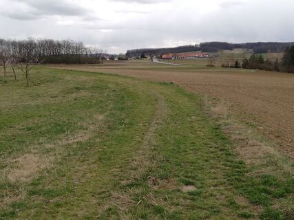 Reisberg - Blick nach Wieselsfeld