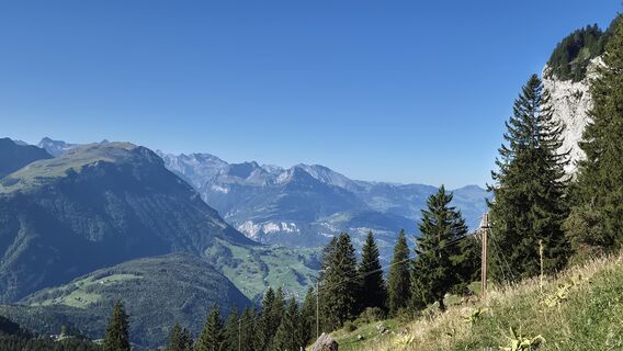 Foto von Thomi W entlang der Tour