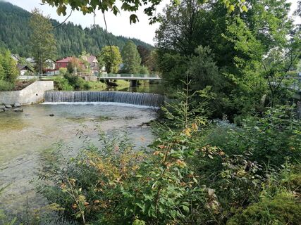 Fotografija s spletne strani Dragoljub Ilic na poti