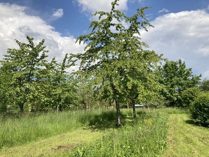 Storchenwanderweg Winden