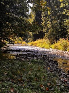 Fotografia z Astrid Kaudela na trase