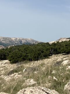 Photo de Daniel Vogel le long du parcours